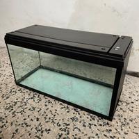 Acquario 400 litri