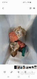 Pietre per acquari/terrai