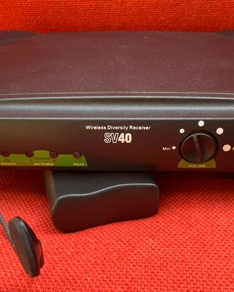 Street audio sv40
