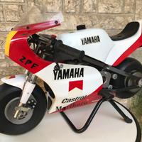 Minimoto anni 90 e 2000