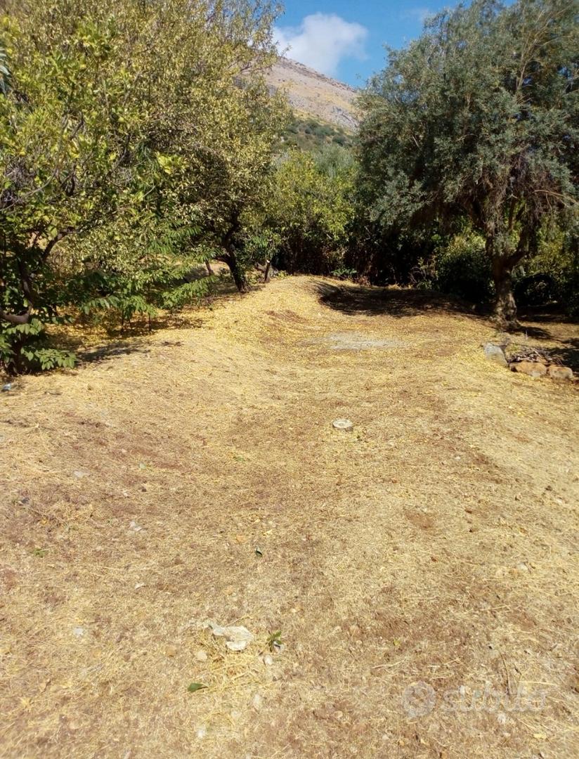 Terreno zona Rimed - View 5
