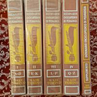 Dizionario Enciclopedico Di Pedagogia  SAIE Torino