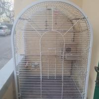 gabbia per papagali 