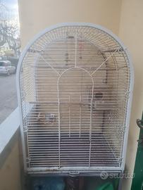 gabbia per papagali 
