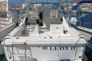 Phoenix 27 fisherman