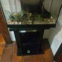 acquarium 