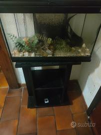 acquarium 