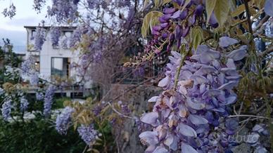 Casa indipendente Santa Tecla