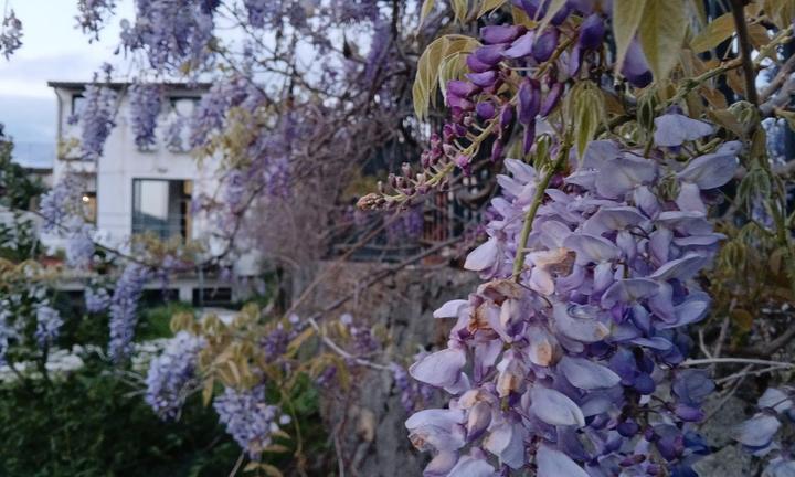 Casa indipendente Santa Tecla