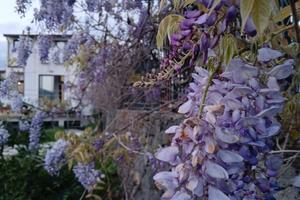 Casa indipendente Santa Tecla