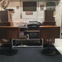 Diffusori vintage Bose 901 IV serie 