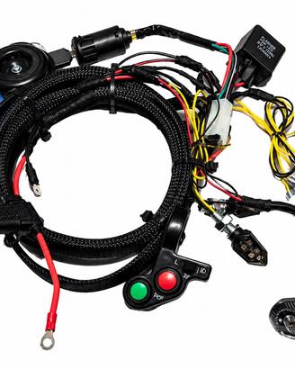 Impianto elettrico semplificato moto