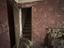 Immagine 10