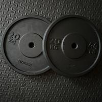 Dischi in Ghisa 20 kg