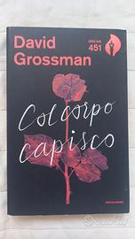 Col corpo capisco - David Grossman