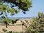 Immagine 20