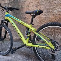 Mountain bike NSR 24