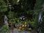 Immagine 15