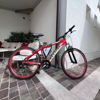 BORNET  High Performance  ECLIPSE MTB