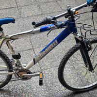 MTB Carnielli