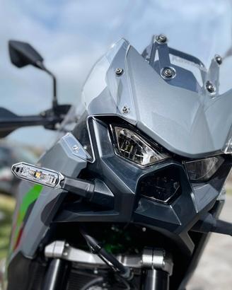 Kawasaki KLE 500 SE - 2026 Intera Gamma