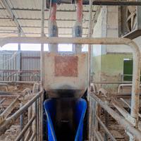 autoalimentatore per bovini 