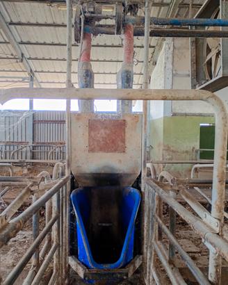 autoalimentatore per bovini 