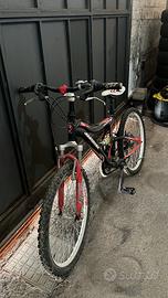 Bicicletta