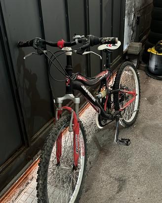 Bicicletta