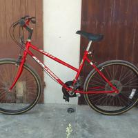 Bici Mtb  ruote 26" pollici 