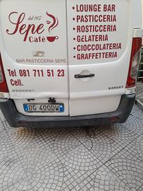furgone expert 