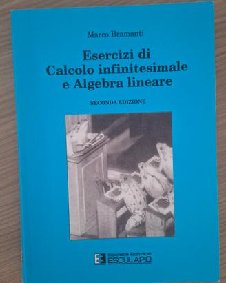 Esercizi calcolo infinitesimale e algebra lineare