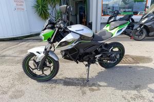 KAWASAKI Z e-1 Z E-1