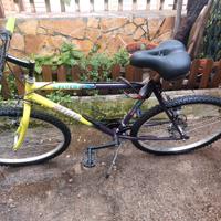 bicicletta MTB da adulti