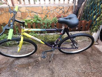 bicicletta MTB da adulti