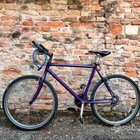 Bicicletta atala