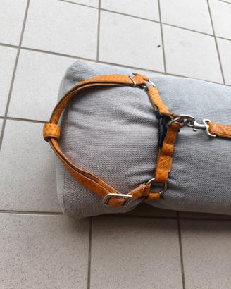 pettorina+guinzaglio per cane
