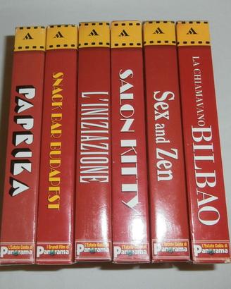 LOTTO 6 FILM VHS COLLEZIONE PANORAMA , TITOLI VARI