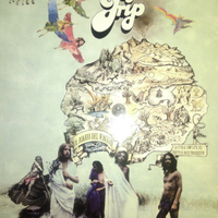 The trip gruppo progressive 45 giri lp