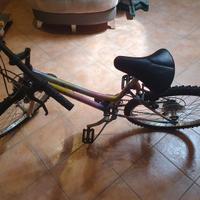 Bici da ragazzo