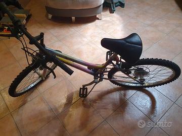 Bici da ragazzo