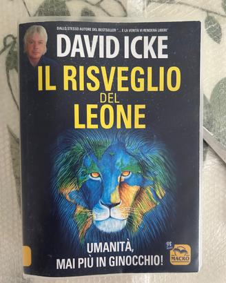 Libro “Il risveglio del Leone”