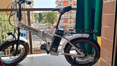 Bicicletta elettrica a pedalata assistita