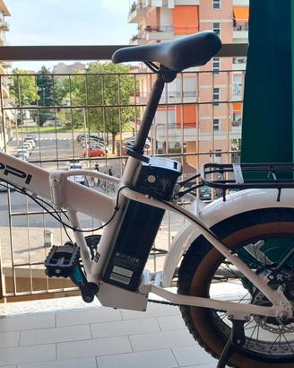 Bicicletta elettrica a pedalata assistita