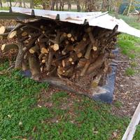 legna da ardere 
