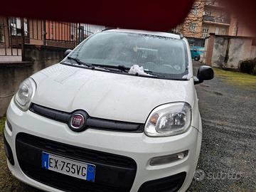 auto panda