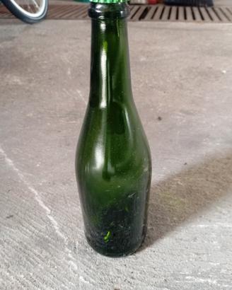 bottiglie 