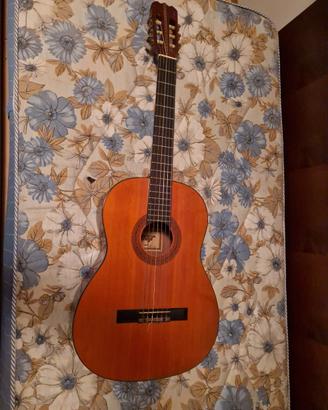 Majr CHITARRA ACUSTICA