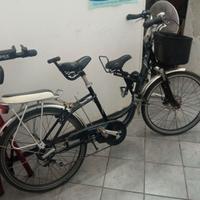 Bici elettrica familiare