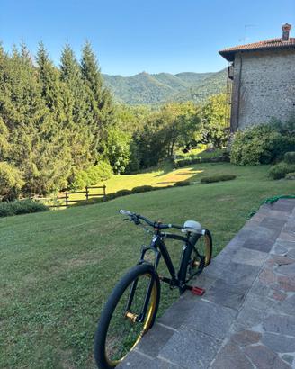 Mafiabike stb whellie